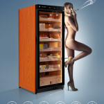 Raching C-Series C330A Humidor