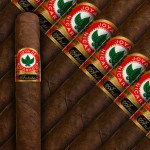 Joya De Nicaragua Antano Reserva Robusto Grande